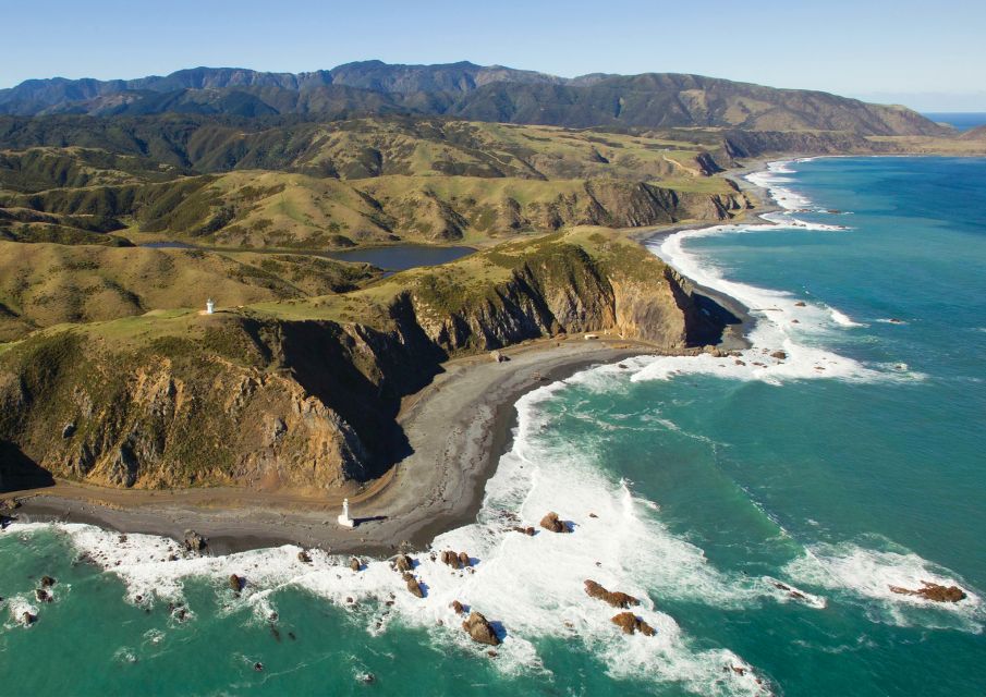 Wellington: Scenic South Coast Discovery Helicopter Flight - Experience Highlights