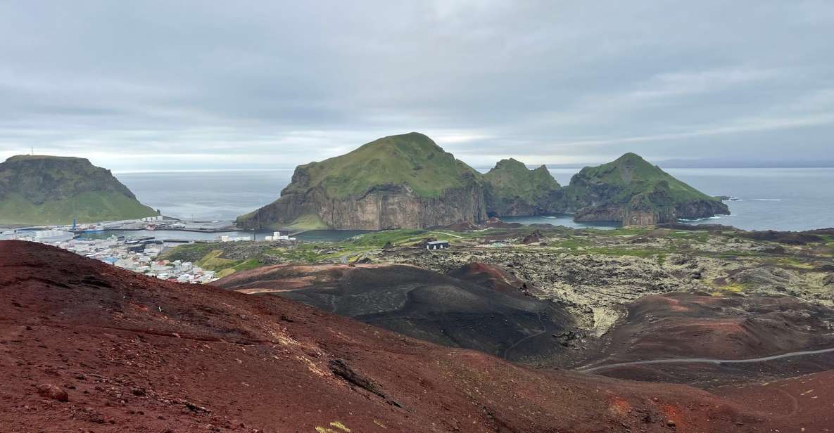 Westman Islands Private Tour - Activity Details