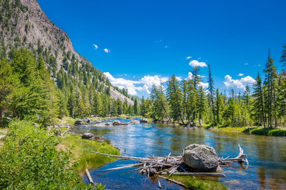 Yellowstone & Rocky Mountain: Self-Guided Driving Audio Tour - Activity Details