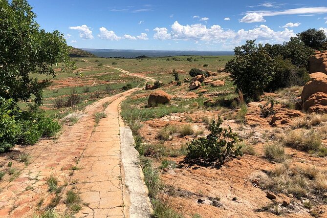 1 Day Kgaswane Mountain Reserve Birding Shared Tour - Reviews