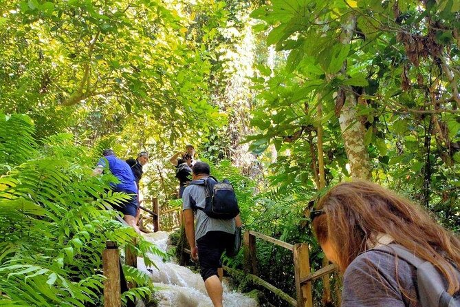 1-Day Sticky Waterfall Hike & Mountain Biking to Mae Kuang Lake - Booking Confirmation