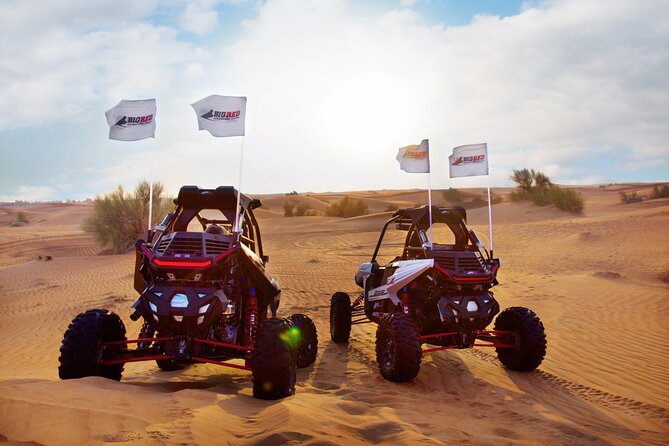 1- Seater Polaris RZR RS1 Buggy Tours in Dubai - Important Information for Participants