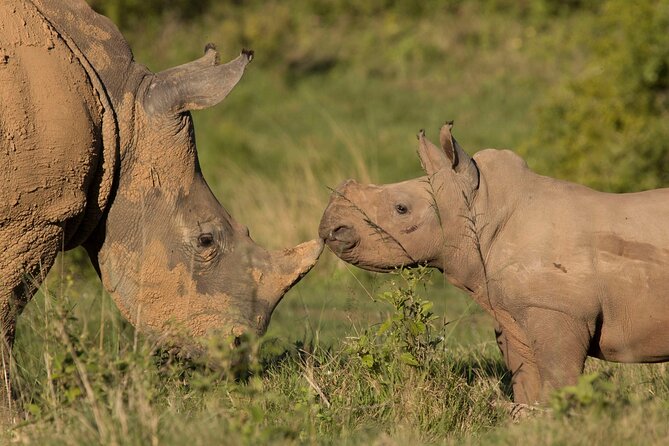 15-Day All Inclusive Sibuya Wilderness Guided Tour - Accommodations and Meals