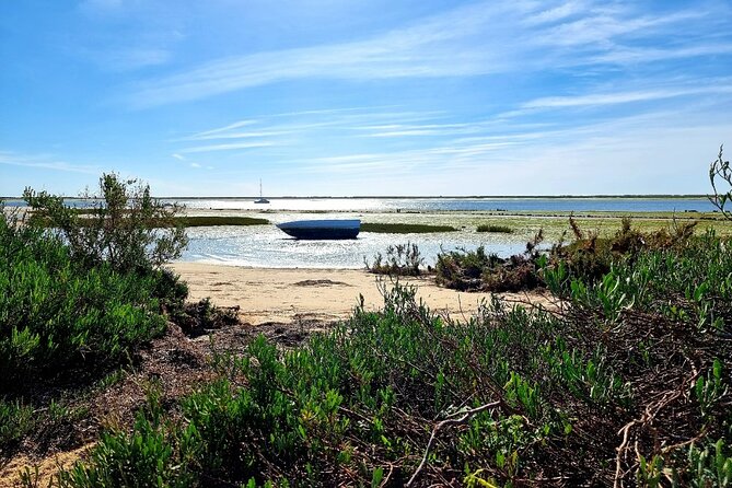 2 Hours Kayak Island Tour in the Natural Park of Ria Formosa