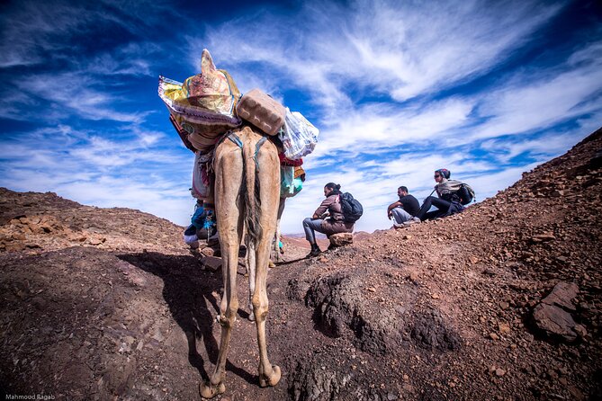 3-Day Small-Group Guided Hiking Expedition in the Sinai Desert - Directions