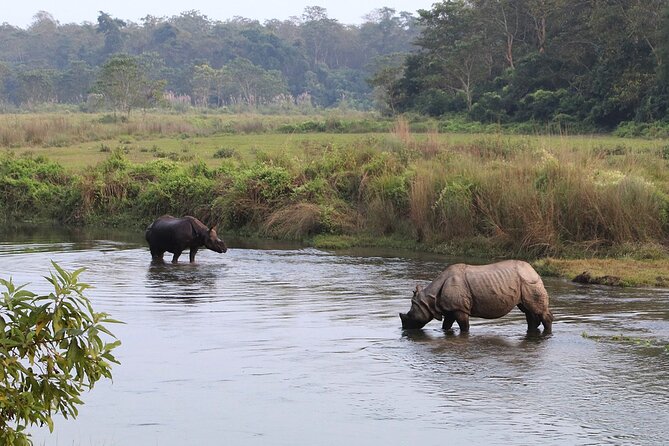 3 Days and 2 Nights Chitwan National Park Safari Tour in Pokhara - Accommodation Details