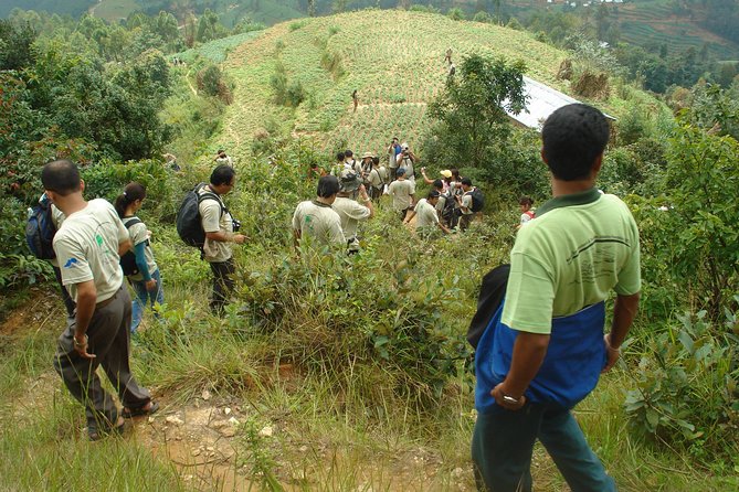 3 Nights 4 Days Kathmandu Chisapani Nagarkot Dhulikhel Trekking in Nepal - Practical Tips for the Trek