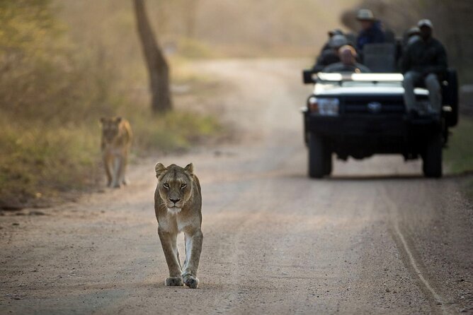 4 Day Greater Kruger Kapama Game Lodge Safari With Panorama Route Journey - Itinerary and Sightseeing Opportunities