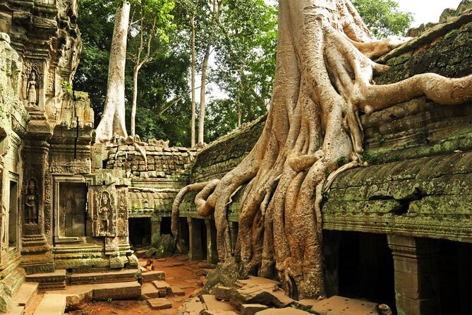 4 Days Private Round Trip Bangkok Angkor Wat by Bus and Private Vehicle - Last Words