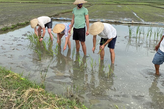 5-Hour Discovery Countryside by Cycling, Buffalo and Basket Boat - Enjoying Local Delicacies