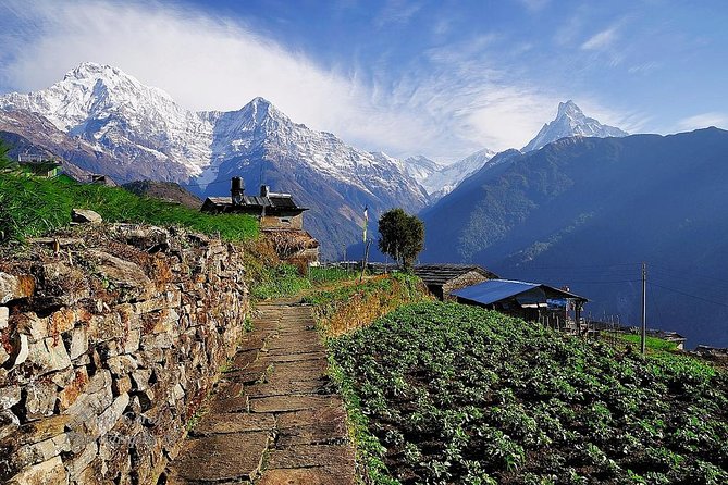 9 Days Kids Friendly Lower Annapurna Royal Trek - Accommodation Information