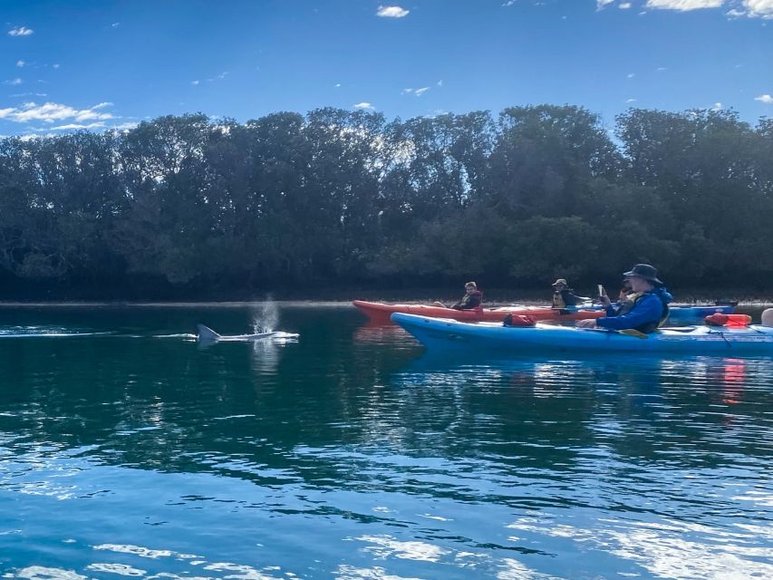 Adelaide: Dolphin Sanctuary Mangroves Kayak Tour - Directions