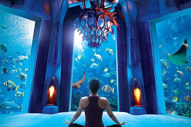 Admission Tickets Aquaventure and Lost Chambers Aquarium Dubai - Cancellation Policy Details