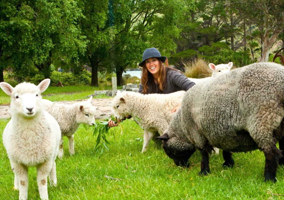 Akaroa: 24-hour Overnight Pohatu Penguin Package - Location Information - Emma Manhart