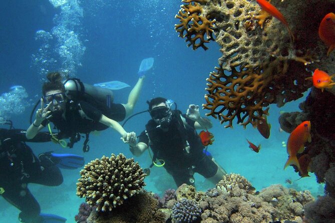 Alanya Scuba Diving Tour With Free Hotel Transfer - Cancellation Policy