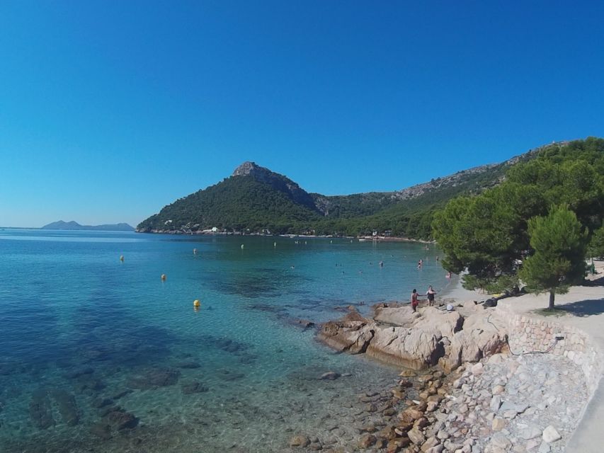 Alcudia: Trip to Formentor Beach - Experience: Scenic Coastal Views