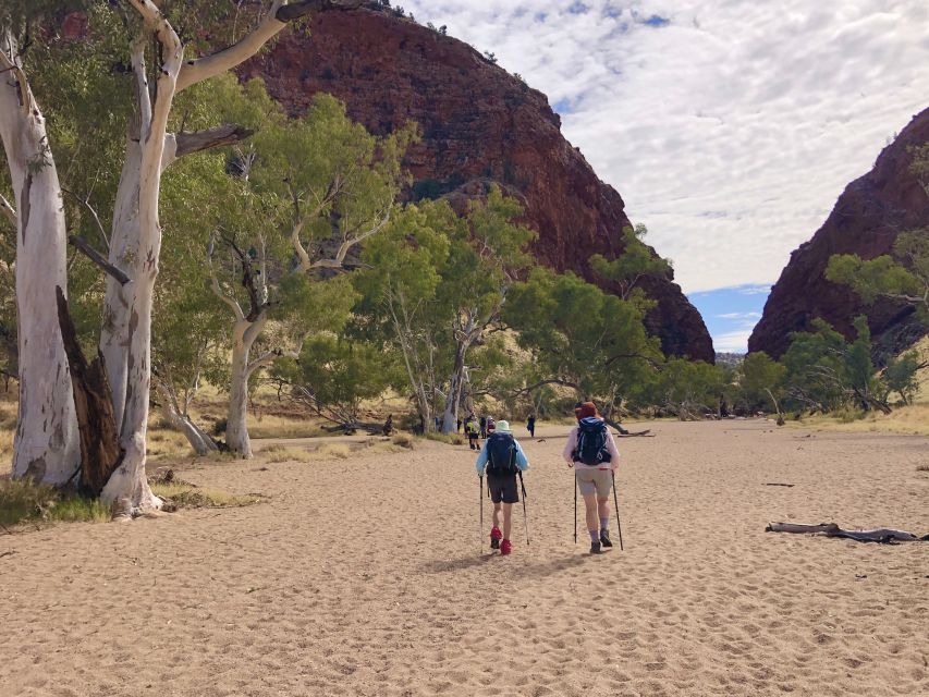 Alice Springs: Simpsons Gap Sunset Watercolor Painting Class - Tour Description