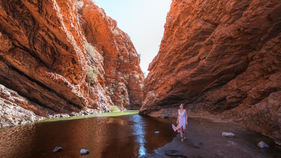 Alice Springs: Town Highlights and West MacDonnell Ranges - Outback Wildlife Encounter