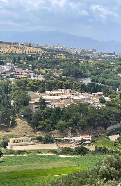 All-Day Knossos Palace Tour & Olive Mill Visit - Activity Description