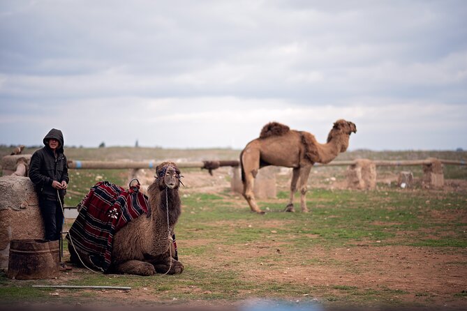 All-inclusive Private Guided 2-day Tour of Sanliurfa - Pricing Details