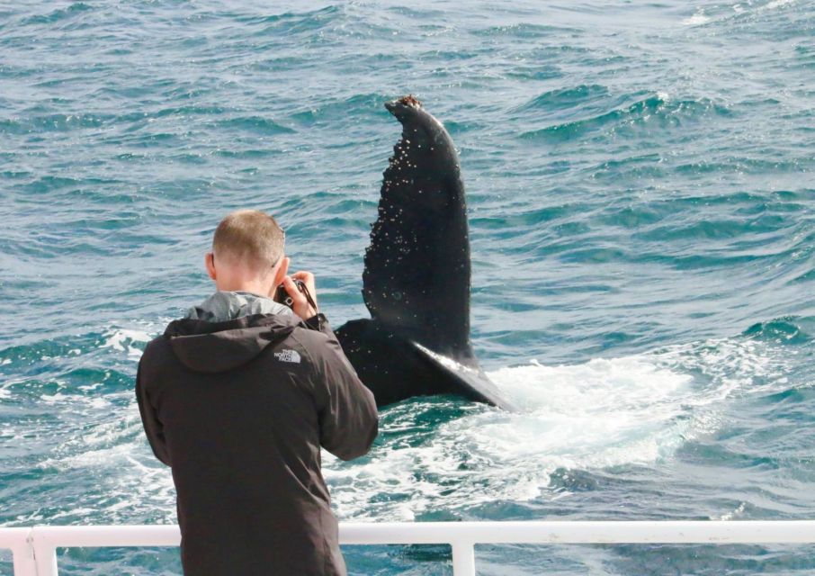 Augusta: Whale Watching Tour - Itinerary