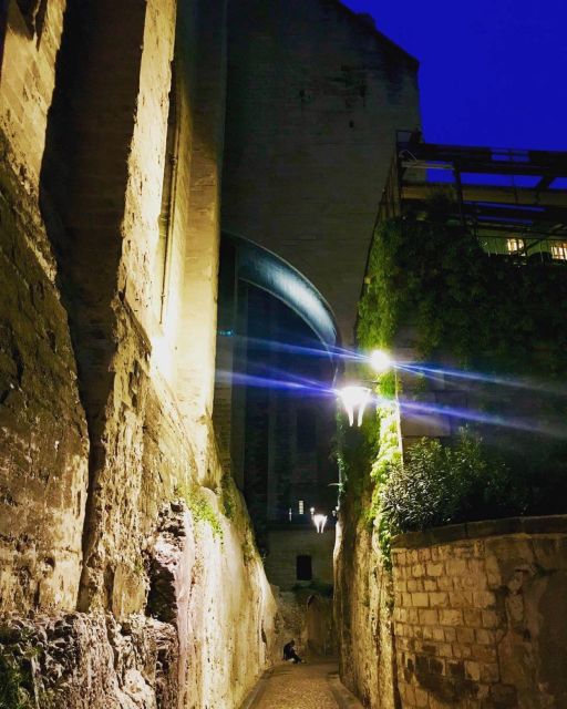 Avignon: The Night Owl Between Past and Present - Exploring Avignons Historical Layers