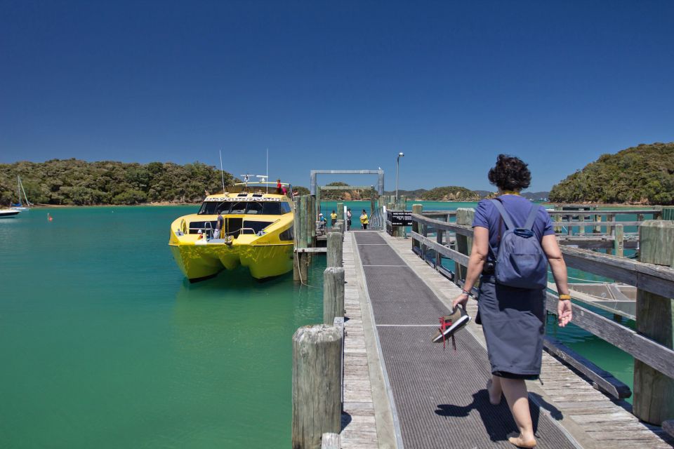 Bay of Islands: Bay Discovery Cruise With Island Stop-Over - Common questions