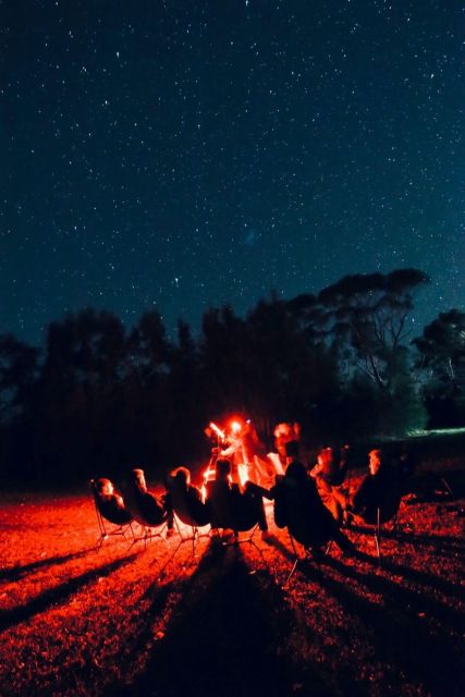 Beach Stargazing With an Astrophysicist in Jervis Bay - Booking Information