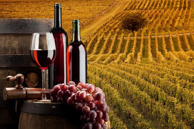 Bella Toscana Private Tour: 2 Chianti Wineries and San Gimignano From Livorno - San Gimignano Exploration