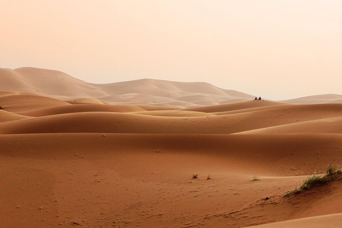 Best of Abu Dhabi Desert Safari Thrilling Quad Bike and 4W Dune Bashing - Adrenaline-Pumping 4W Dune Bashing