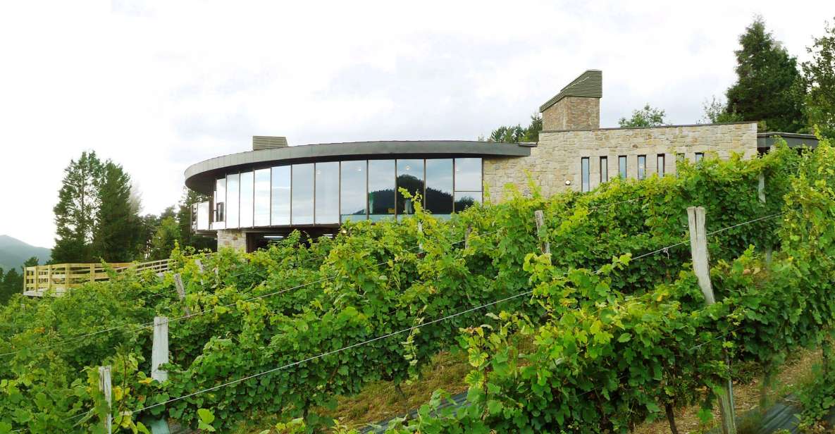 Bilbao: Organic Winery Visit With Tasting - Wine Tasting and Pairing