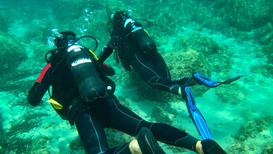 Bosa: 4-Day PADI Open Water Diver Course - Instructor Information