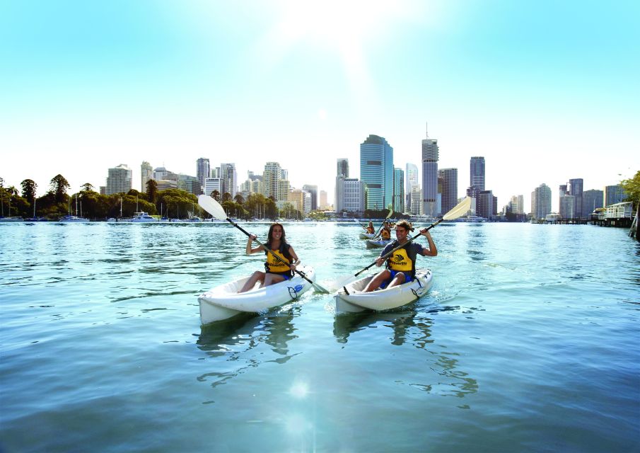 Brisbane: Guided River Kayak Tour - Important Information