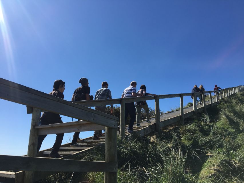 Bruny Island Day Trip From Hobart - Key Points