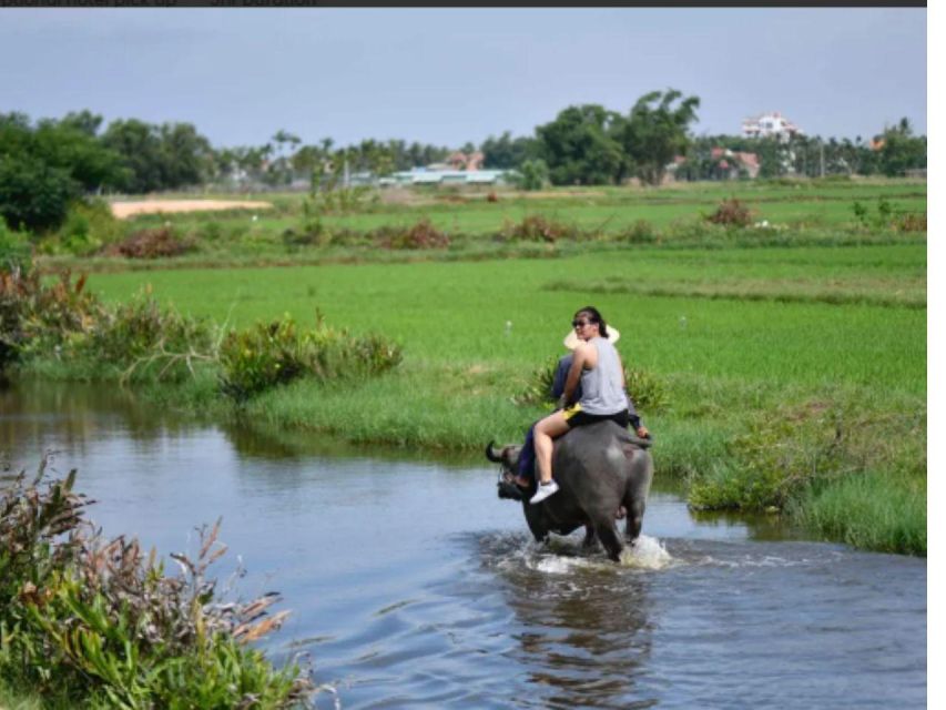 BUFFALO RIDING ADVENTURE AND BASKET BOAT TOUR - Tour Description