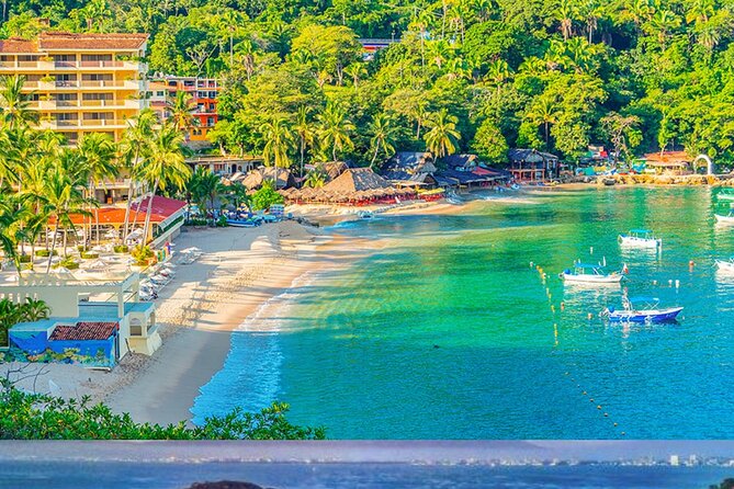 Butterflies, Tequila and Beach: an Unforgettable Day in Puerto Vallarta - Pricing Details