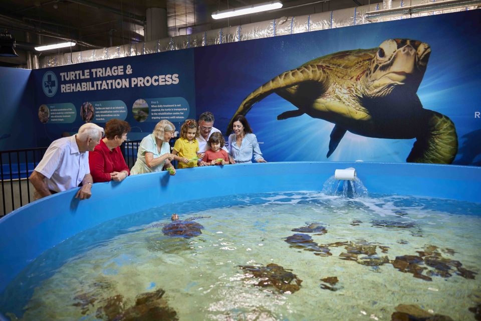 Cairns: Aquarium Entry Ticket and Turtle Rehabilitation Tour - Activity Description