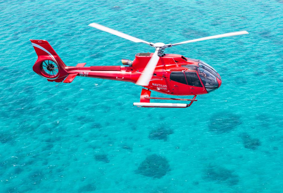 Cairns: Great Barrier Reef Cruise & Scenic Helicopter Flight - Activity Description