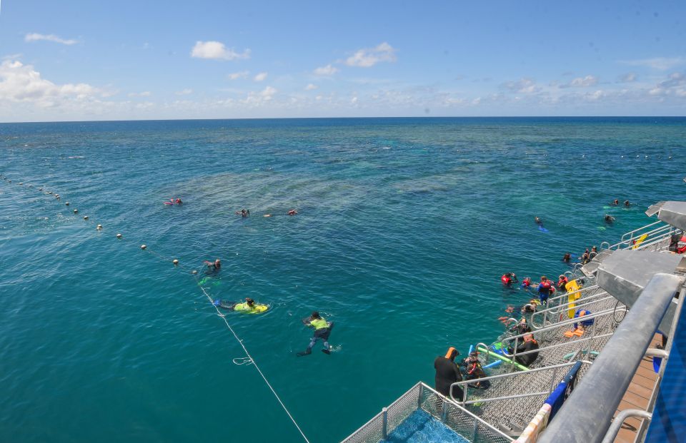 Cairns: Great Barrier Reef Cruise With Water Activities - Detailed Description