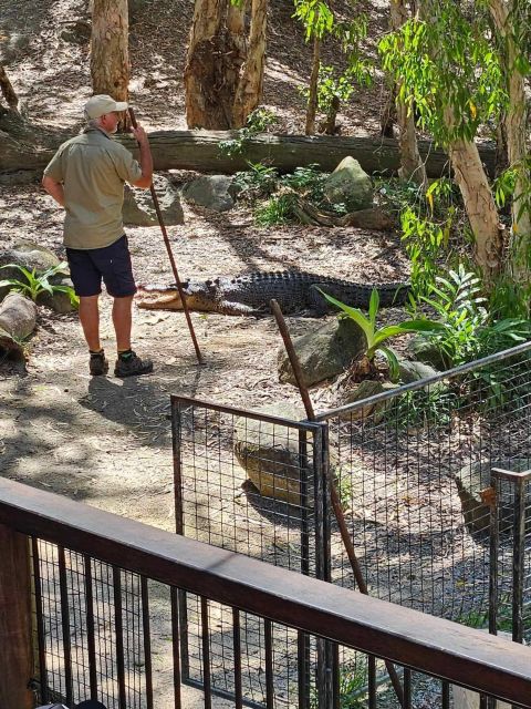 Cairns: Hartleys Crocodile Adventures Transfers and Return - Itinerary