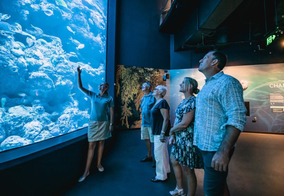 Cairns: Night at the Aquarium Guided Tour - Experience Highlights