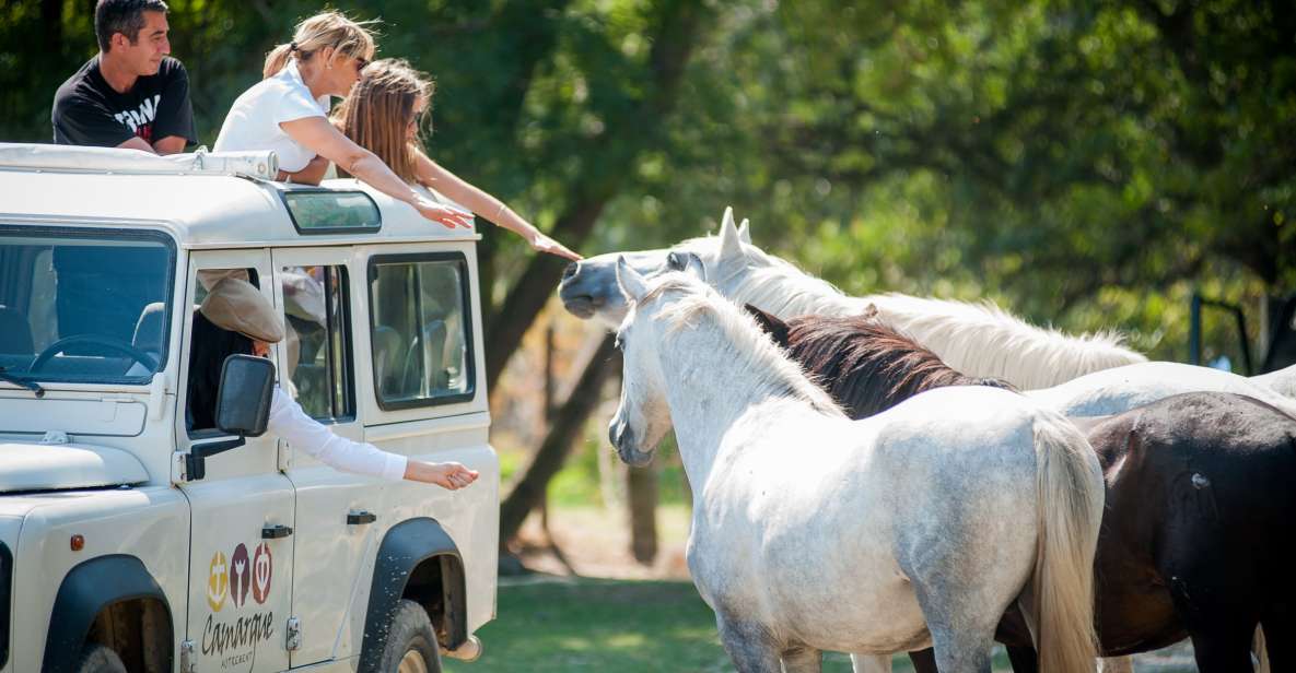 Camargue: Half-Day 4x4 Guided Safari Adventure - Safari Duration and Features