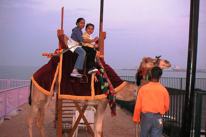 Camel Ride in Desert With Dune Bashing, BBQ Dinner and Belly Dance - Additional Package Details