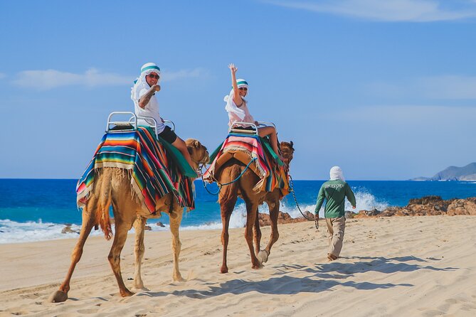 Camel Ride on the Beach With Mexican Lunch - Customer Feedback and Reviews