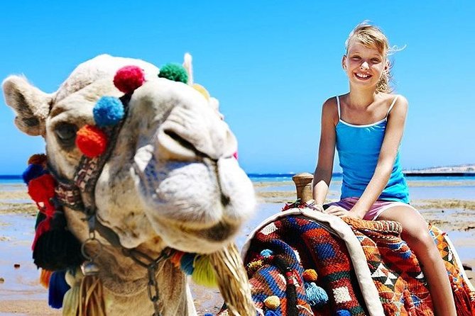 Camel Trekking in Abu Dhabi - Pricing Information