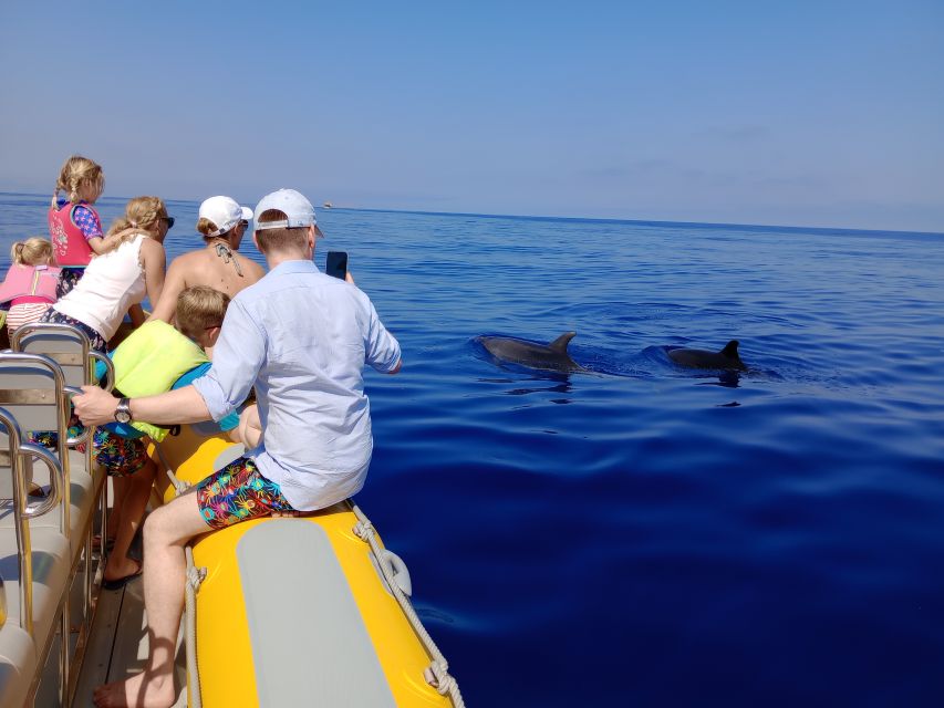 Can Picafort: Dolphin Watching Boat Tour With Swimming - Review Summary