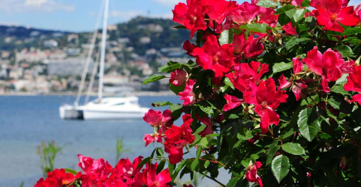 Cannes: Private Trip to Grasse, Antibes, & St. Paul De Vence - Key Points