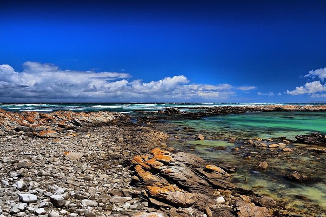 Cape Agulhas Stony Point Nature Reserve - Cancellation Policy