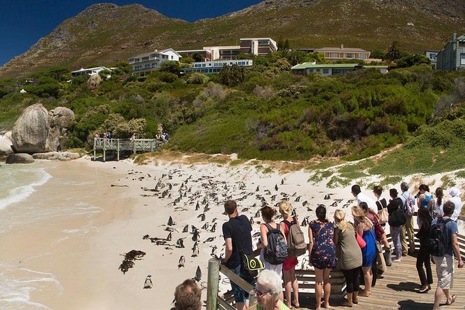 Cape Town Private, Robben Island and Cape Point Tour - Booking Information