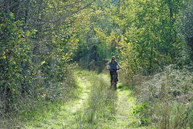 Castelli Romani Private E-Bike Tour With Winetasting Option  - Rome - Tour Highlights